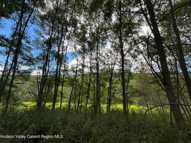Land for sale in Denver, New York