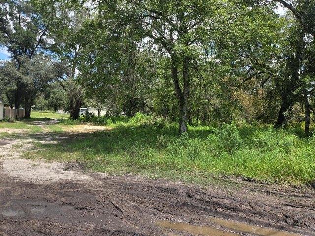 Land for sale in Zephyrhills, Florida