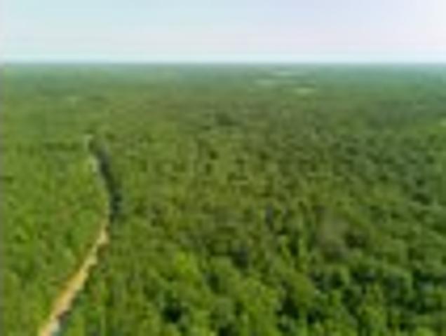 House for sale in Grady, Georgia