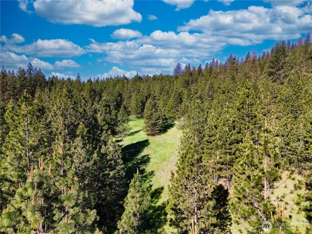Land for sale in Davenport
