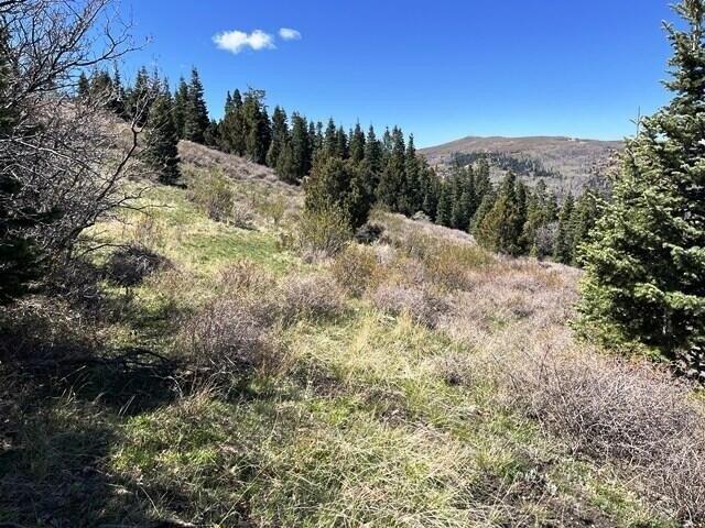 Land for sale in Utah