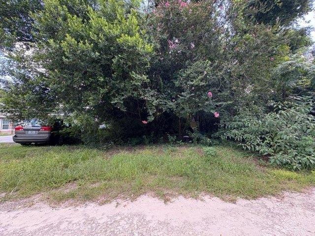 Land for sale in Florida