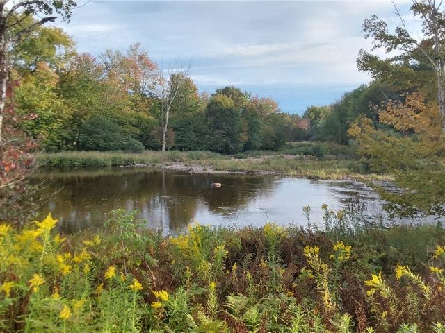 House for sale in Nobleboro, Herkimer County