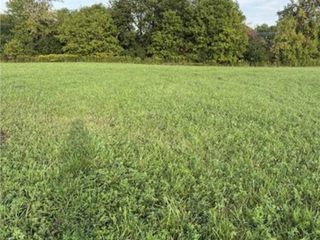Land for sale in New York