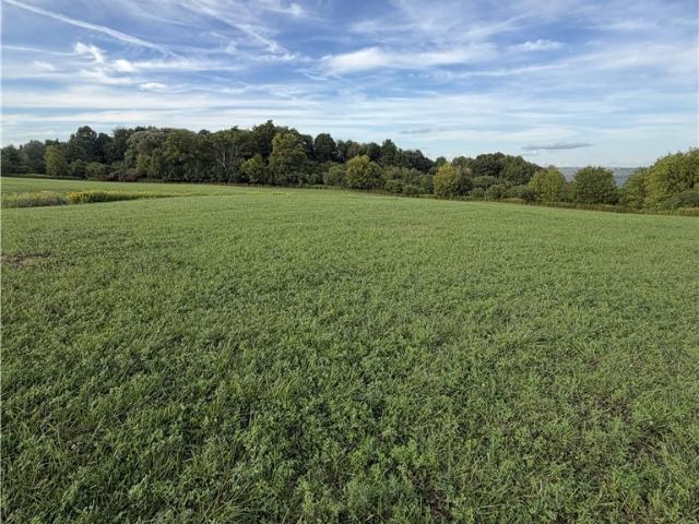 Land for sale in New York
