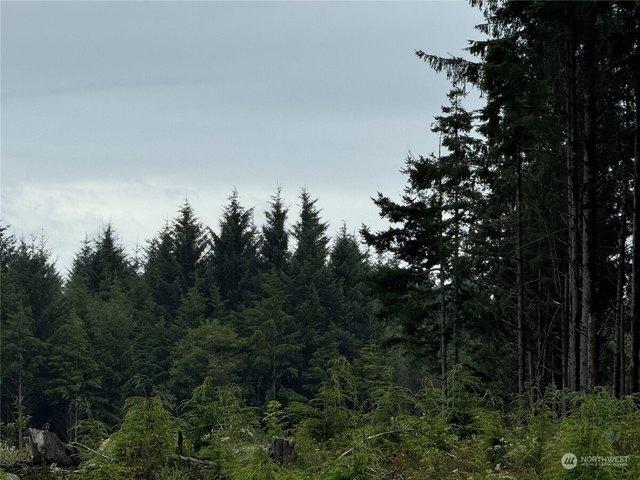 Land for sale in Moclips, Washington