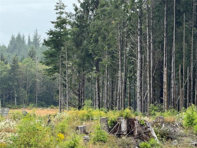 Land for sale in Copalis Beach, Washington