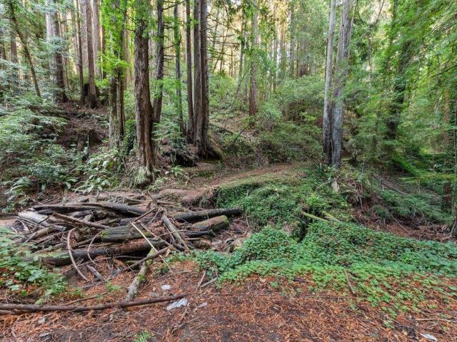 House for sale in San Mateo, California