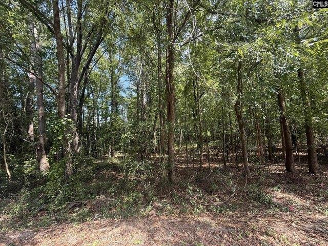 Land for sale in Bethune, Kershaw County