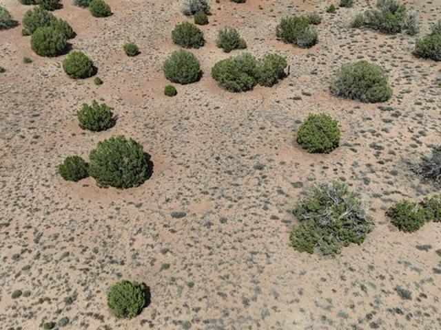 Land for sale in Navajo, Arizona