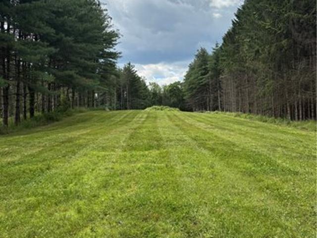 Land for sale in Macedon, New York