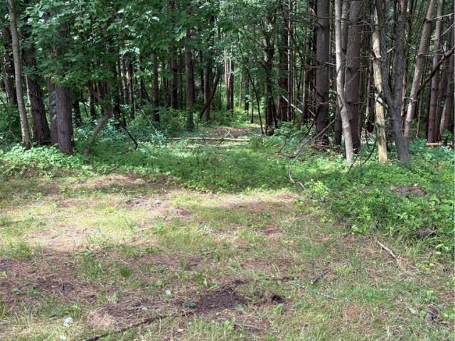 Land for sale in New York