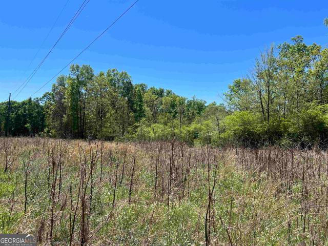 Property for sale in Stockbridge, Georgia