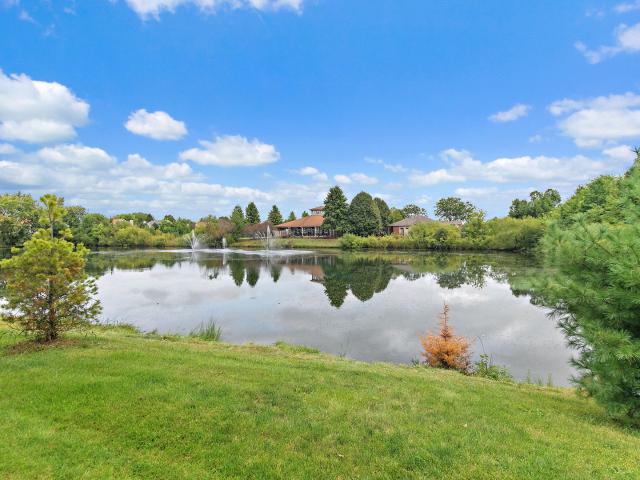 Condo for sale in South Elgin, Kane County