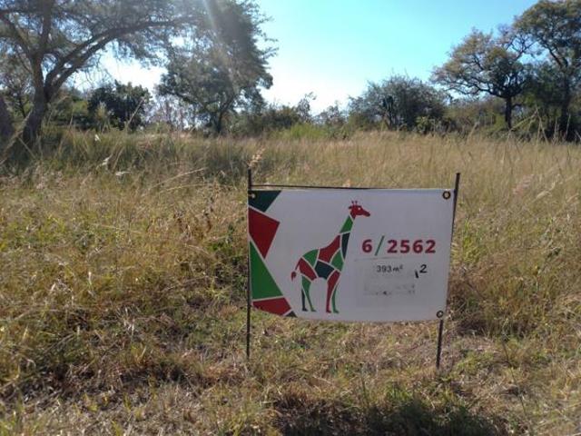Land for sale in Ehlanzeni, Mpumalanga