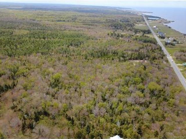 Land for sale in Pokeshaw, New Brunswick