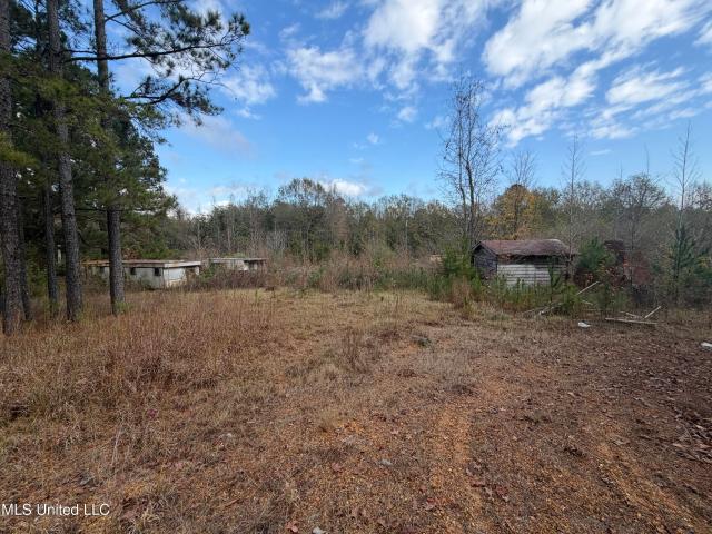 Land for sale in Bogue Chitto, Mississippi