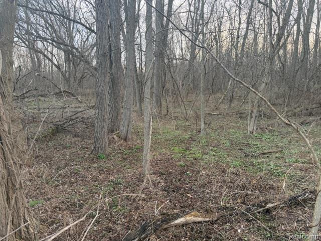 Land for sale in Michigan