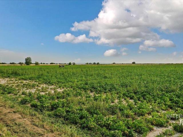 Land for sale in Filer, Idaho