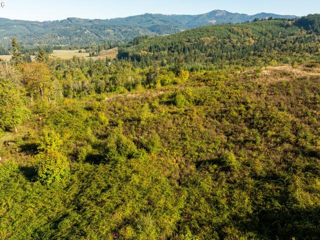 Land for sale in La Center, Clark County