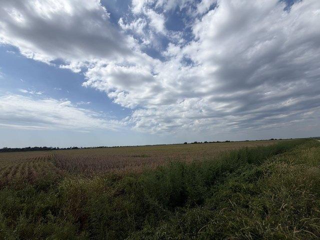 Land for sale in East Prairie, Mississippi County