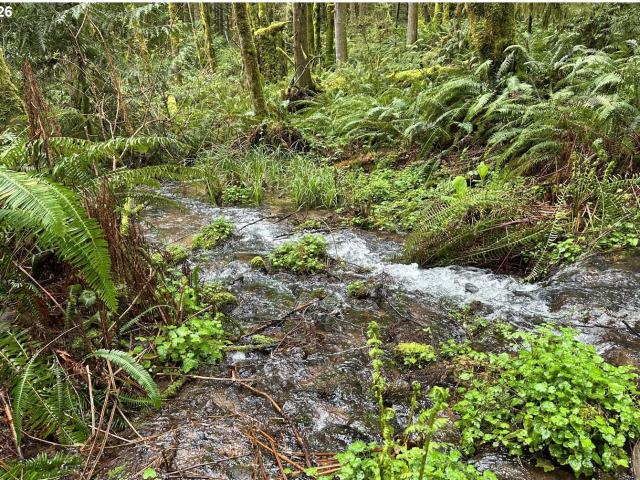 Land for sale in Oregonia