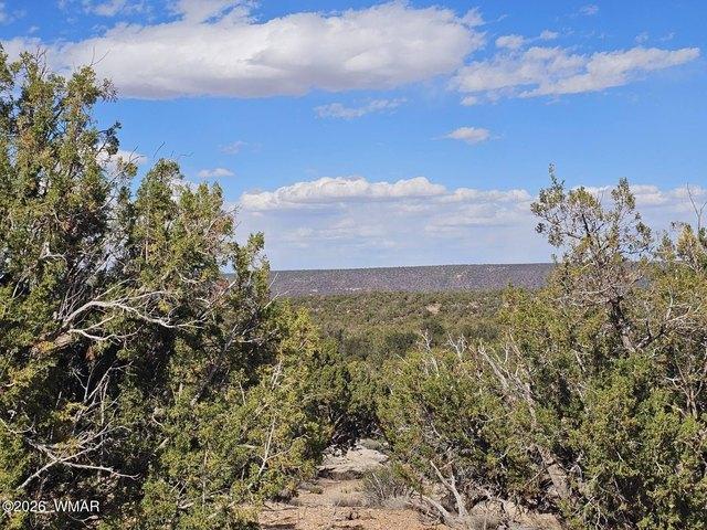 Land for sale in Navajo, Arizona