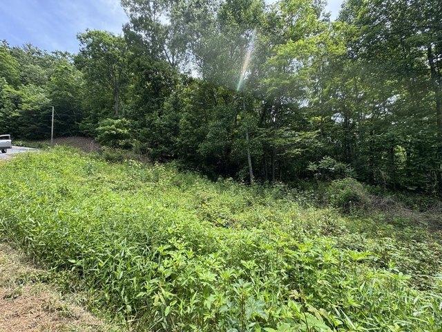 Land for sale in Bryson City, North Carolina