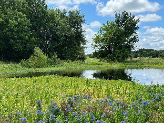 Land for sale in Wills Point, Texas