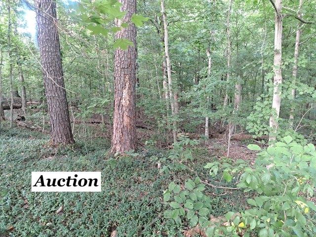 Land for sale in Carbondale, Illinois