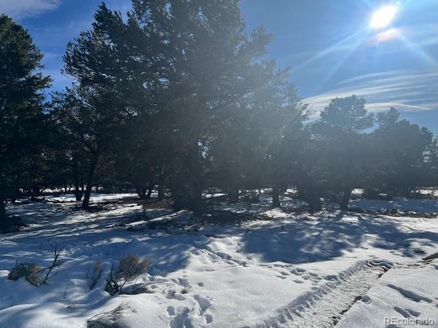 Land for sale in Crestone, Colorado