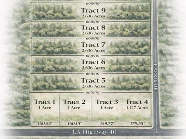 Land for sale in Independence, Louisiana