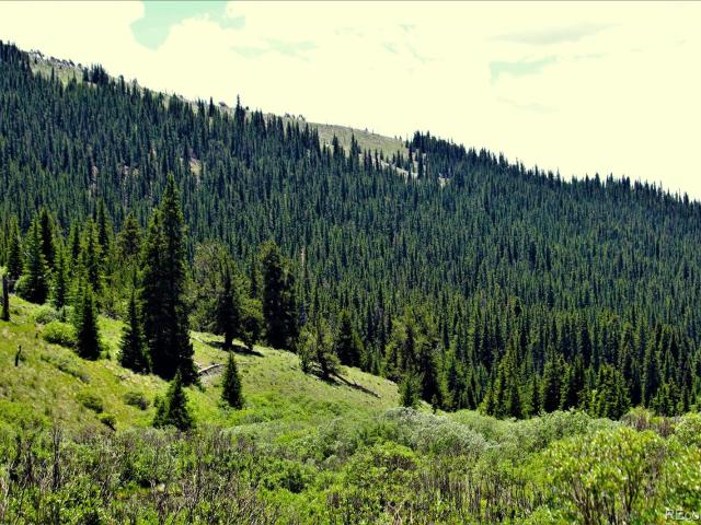 Land for sale in Fairplay, Colorado