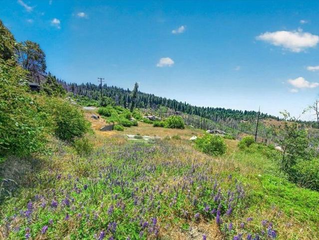 Land for sale in Shaver Lake, California