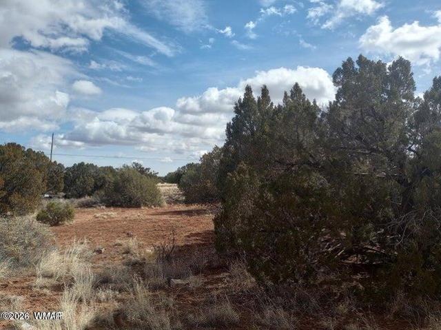 Land for sale in Navajo, Arizona