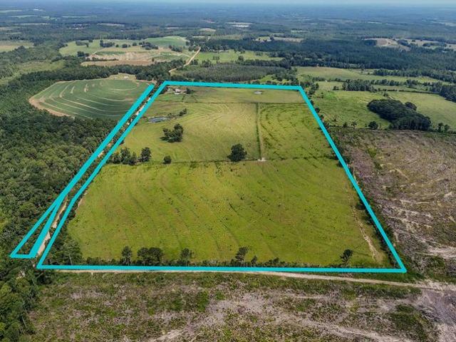 House for sale in Geneva, Alabama
