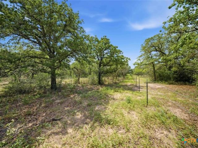 Land for sale in Goliad, Texas