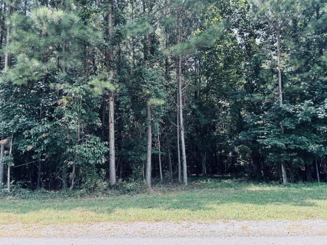 Land for sale in Tennessee