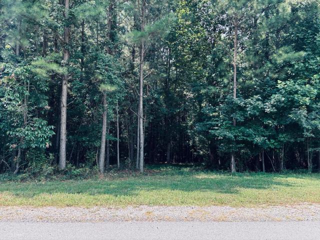 Land for sale in Tennessee