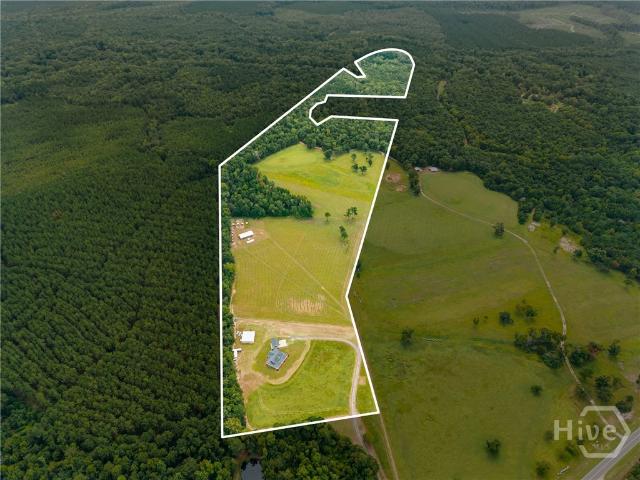 House for sale in Dodge, Georgia