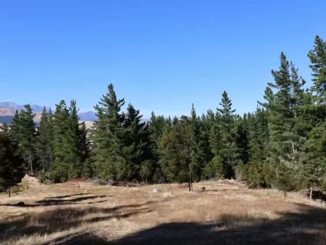 House for sale in Marlborough