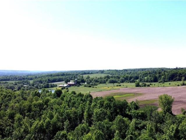 Land for sale in Lyons Falls, New York