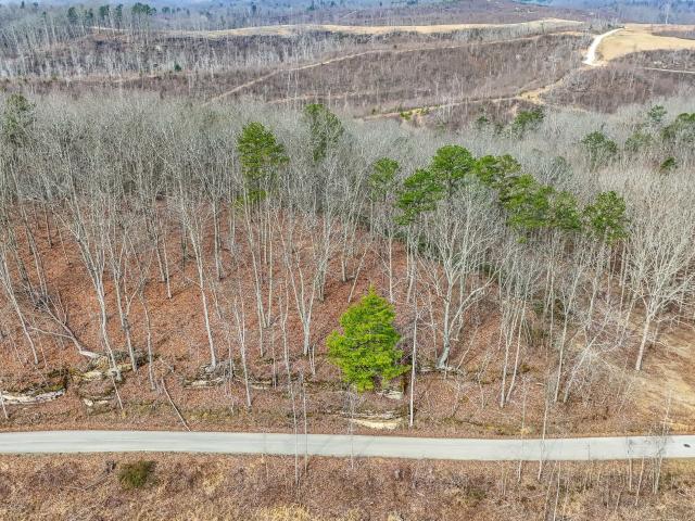 Land for sale in Hazel Patch, East Bernstadt