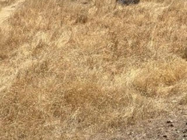 Land for sale in Lake, California