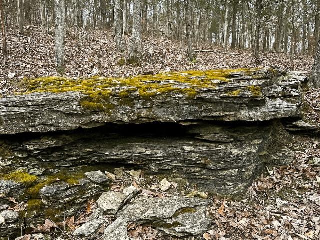 Land for sale in Ark