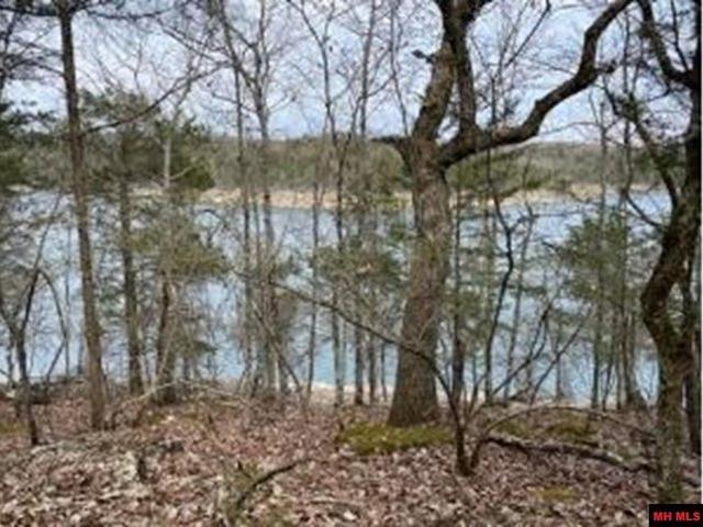 Land for sale in Assumption Parish, Louisiana