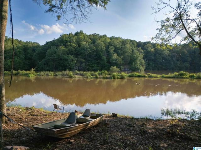 Land for sale in Woodland, Alabama