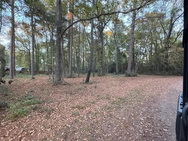 Land for sale in Sabine, Texas