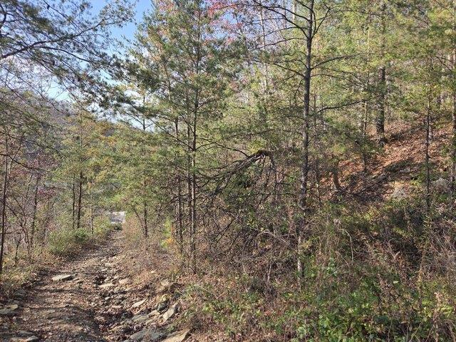 Land for sale in Menifee, Kentucky
