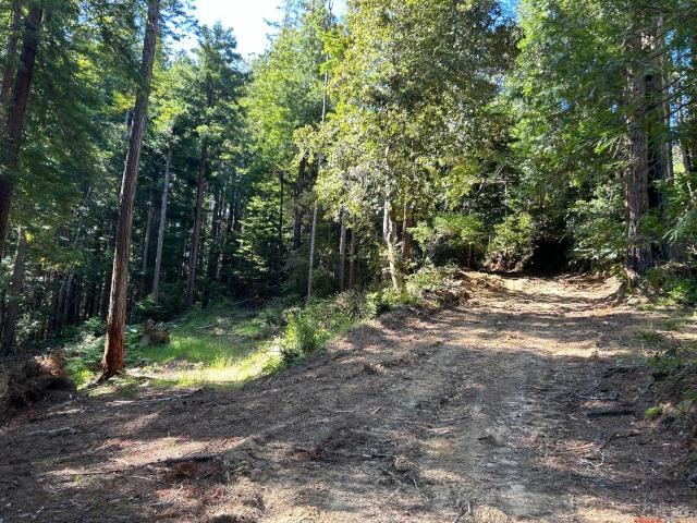 Land for sale in Point Arena, California